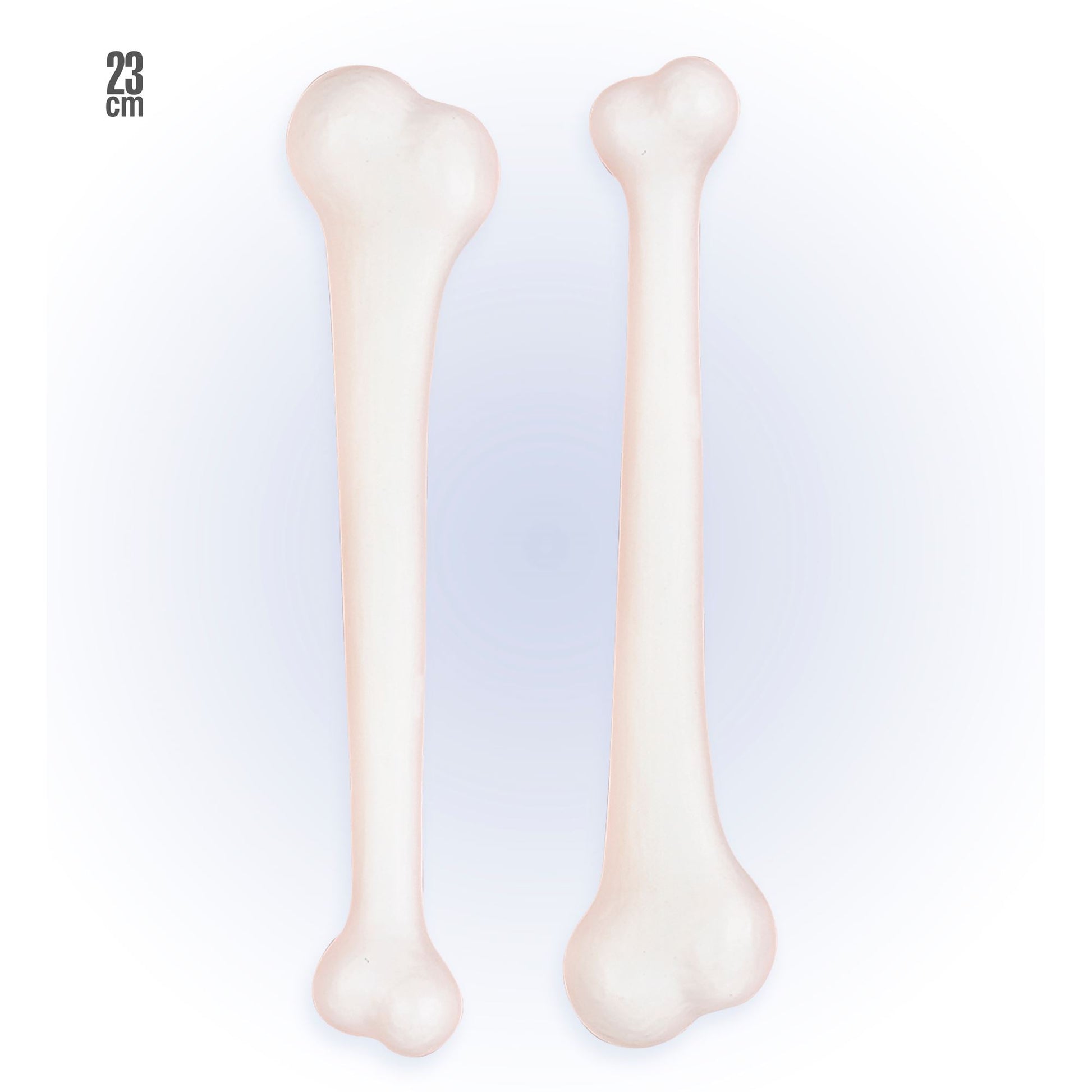 "Set von 2 KNOCHEN" 23 cm – Vorderansicht