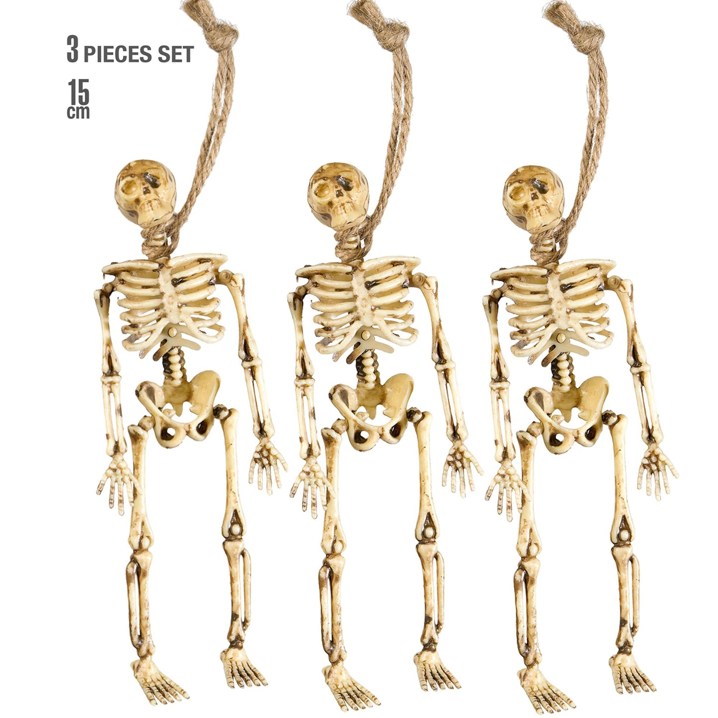 "Set von 3 SKELETTEN" 15 cm – Vorderansicht