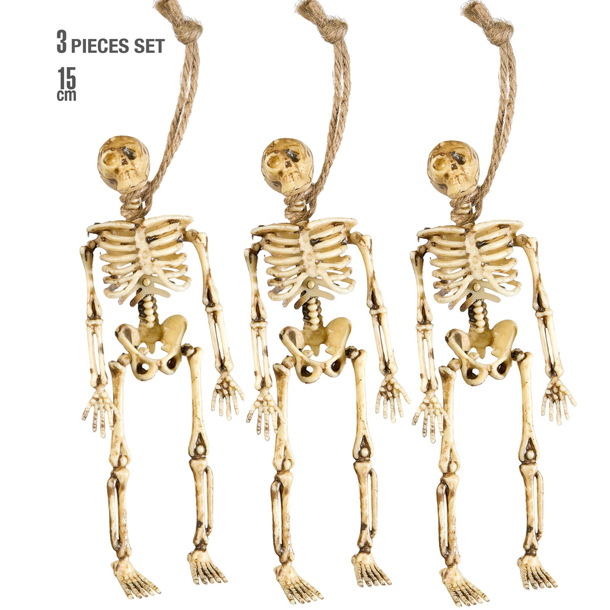 "Set von 3 SKELETTEN" 15 cm – Vorderansicht