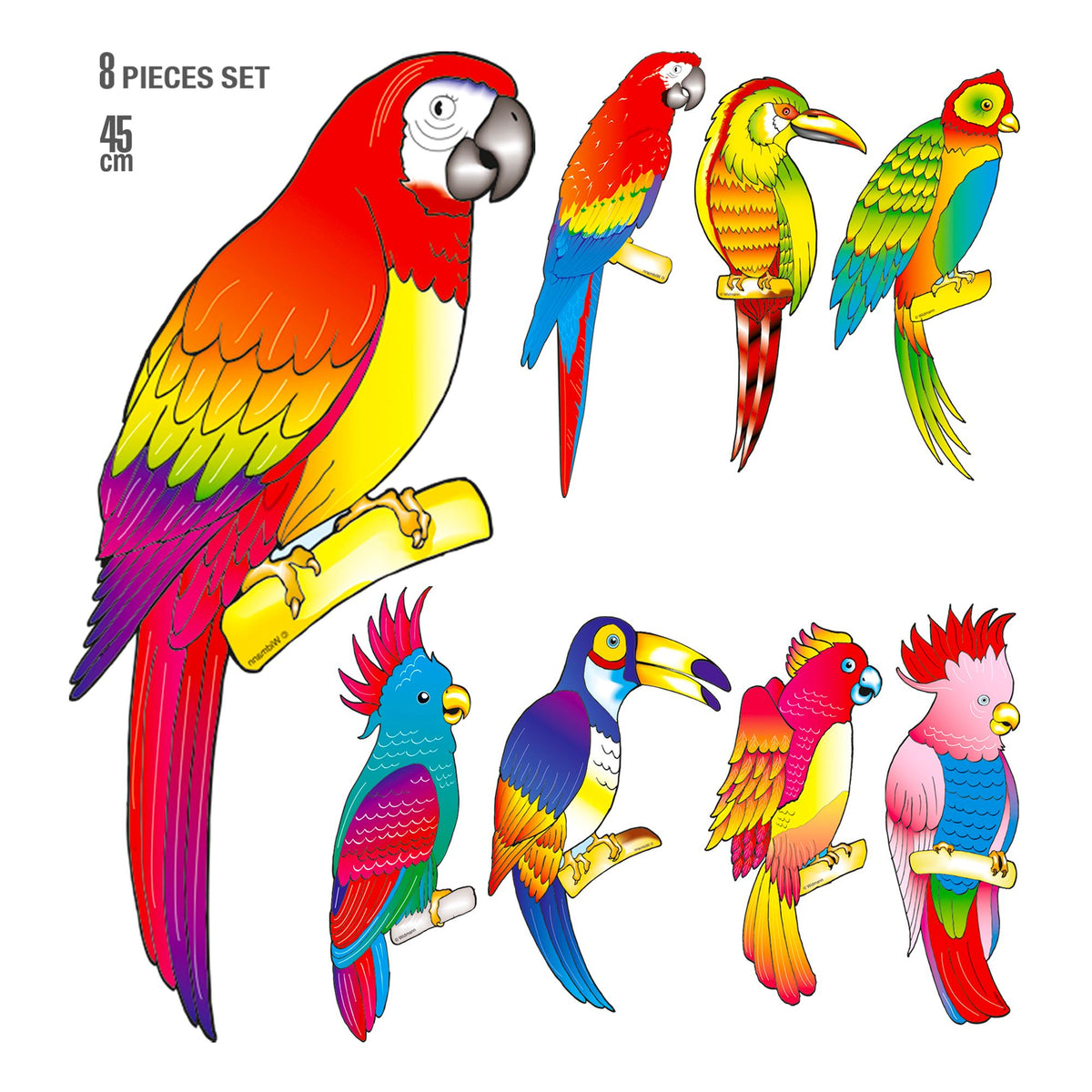 "Set von 8 TROPISCHEN VÖGELN" 45 cm – Vorderansicht