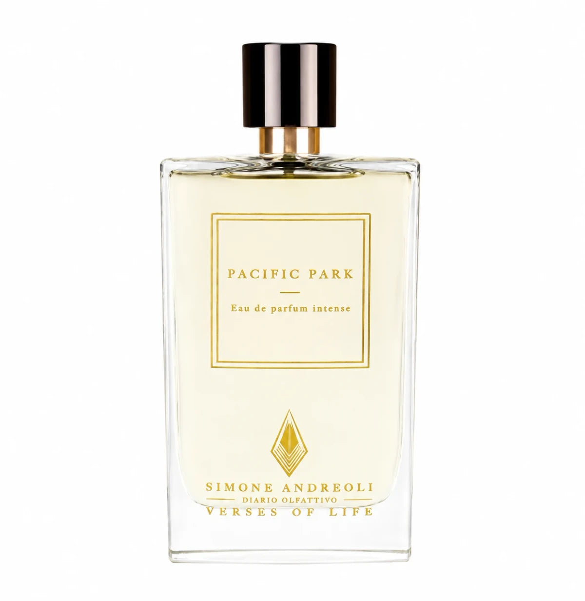 SIMONE ANDREOLI PACIFIC PARK EDP 100 ML VAPO