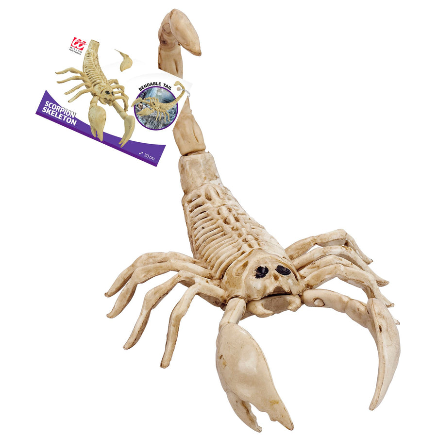 "SKORPION SKELETT" 30 cm – Detailansicht