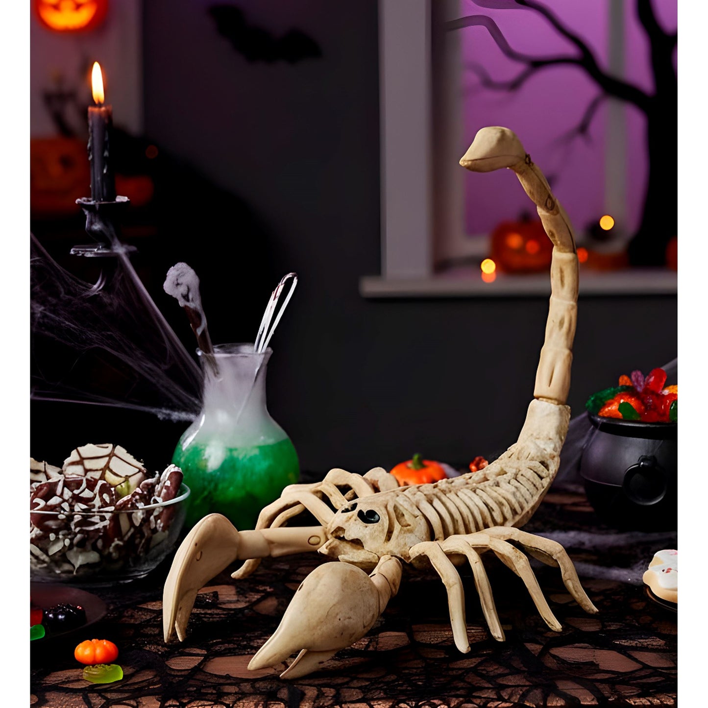 "SKORPION SKELETT" 30 cm – Ansicht 3