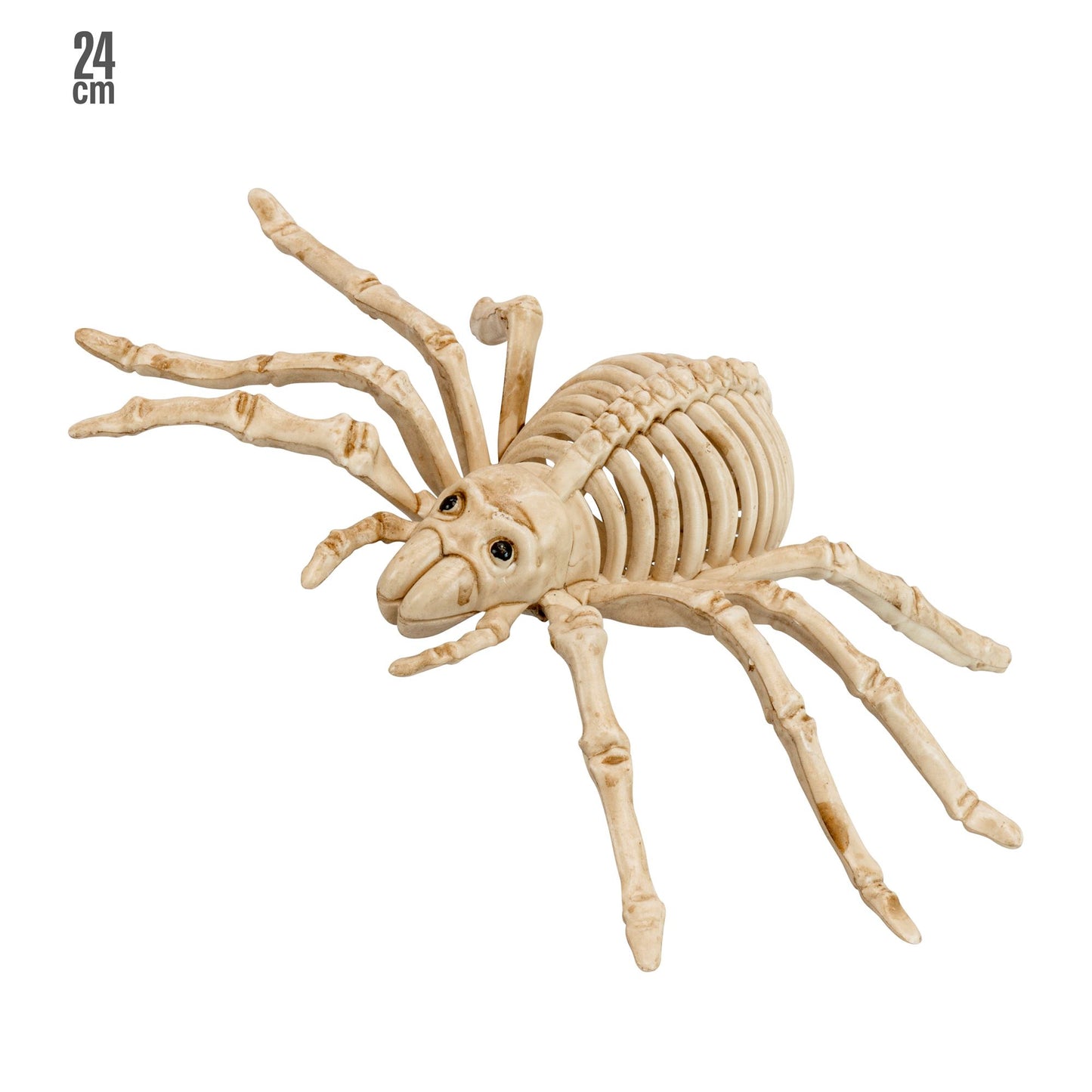 Widmann Spinnen-Skelett 24 cm Halloween Deko – Produktansicht