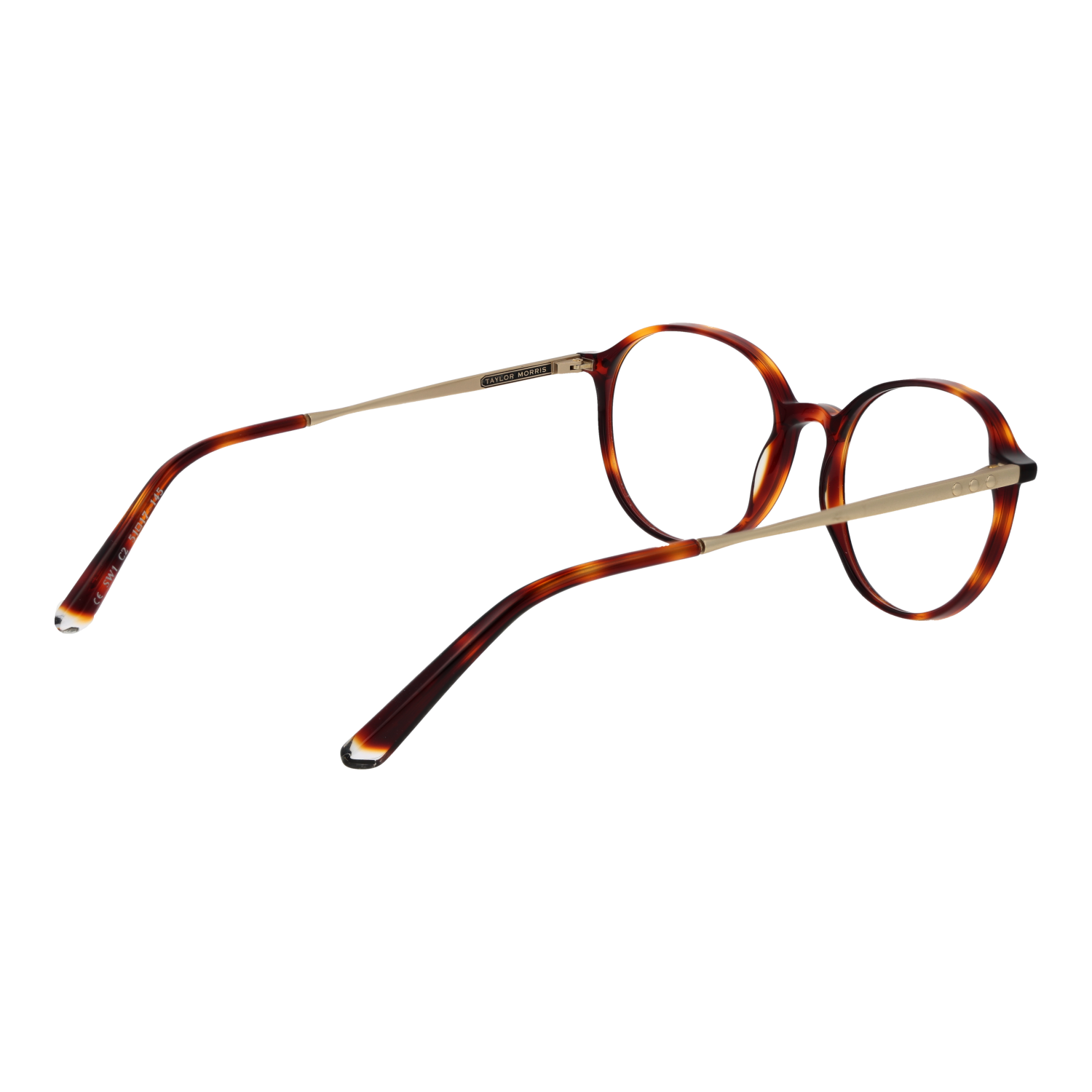TAYLOR MORRIS EYEWEAR SW1 51C2 Sonnenbrille ansicht-2