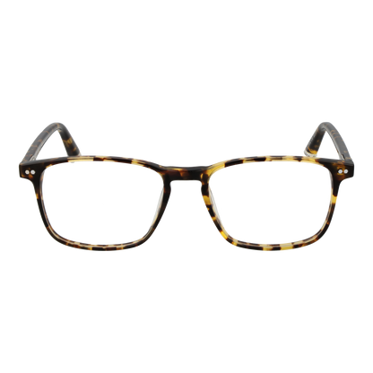 TAYLOR MORRIS EYEWEAR SW16 52C10 Sonnenbrille