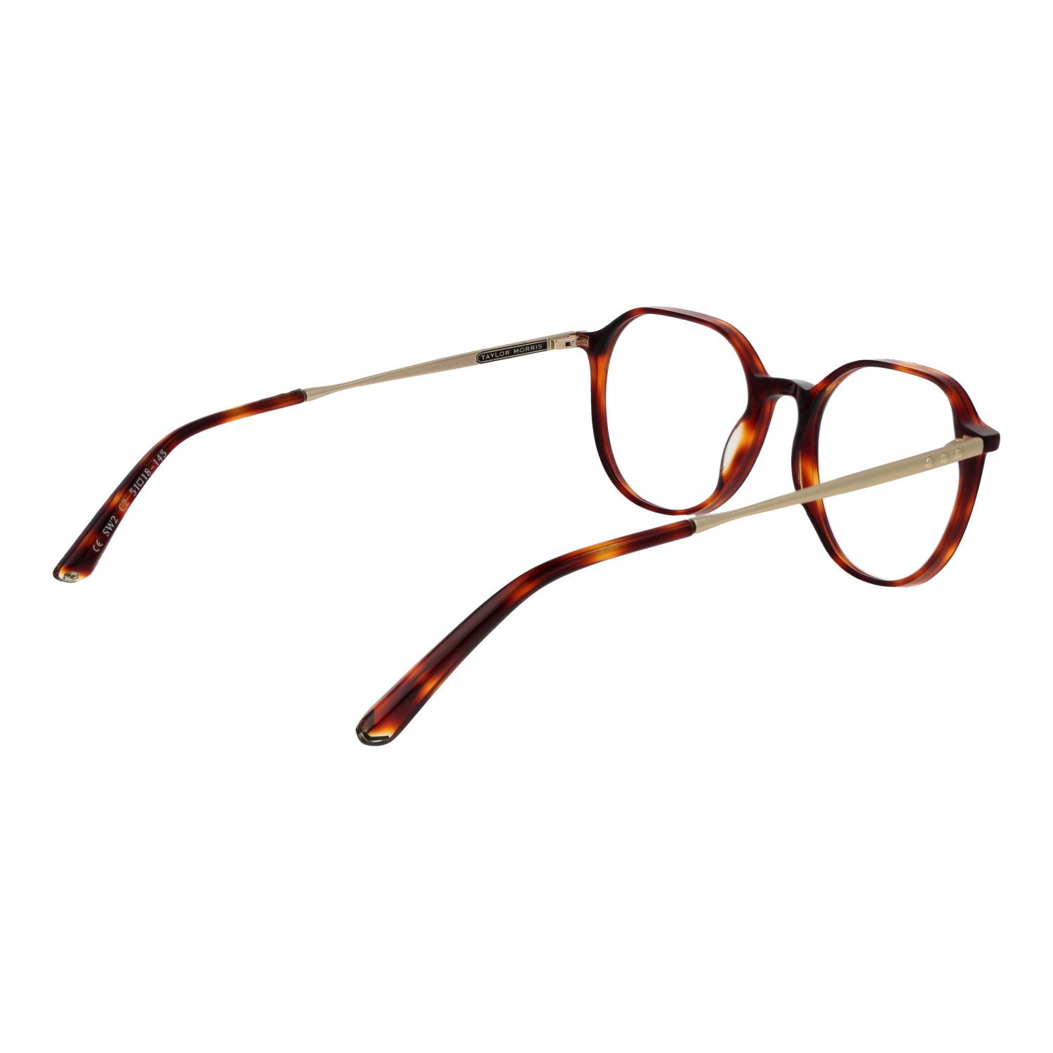 TAYLOR MORRIS EYEWEAR SW2 51C2 Sonnenbrille ansicht-2
