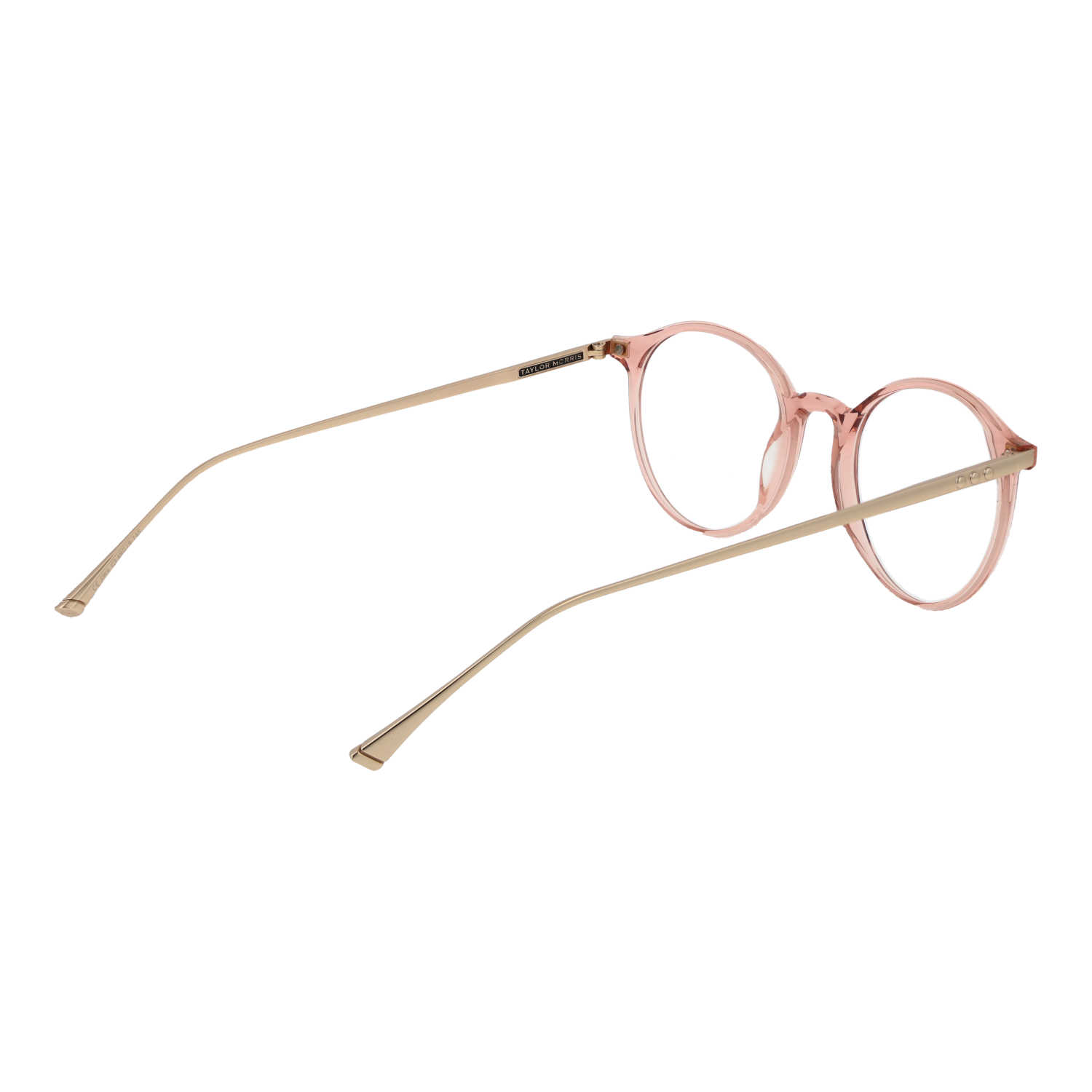 TAYLOR MORRIS EYEWEAR SW4 49C3 Sonnenbrille ansicht-2