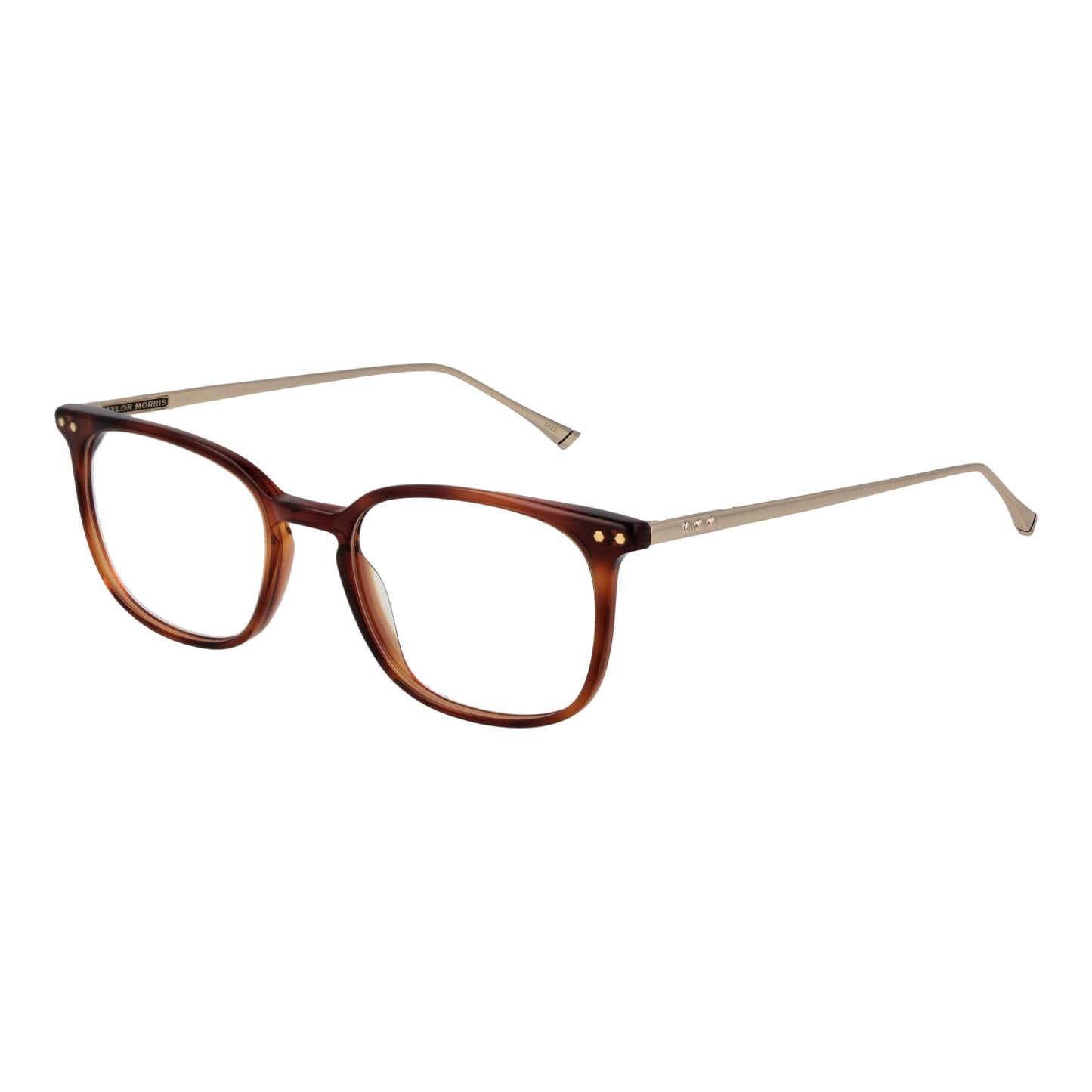 TAYLOR MORRIS EYEWEAR TM06 49C2 Sonnenbrille ansicht-3
