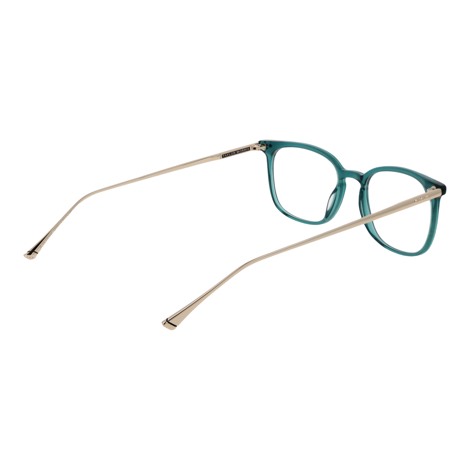 TAYLOR MORRIS EYEWEAR TM06 49C4 Sonnenbrille ansicht-2