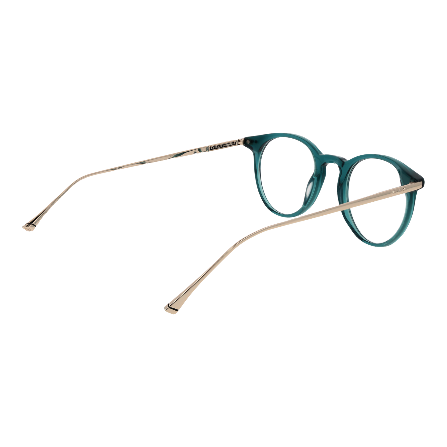 TAYLOR MORRIS EYEWEAR TM07 47C4 Sonnenbrille ansicht-2