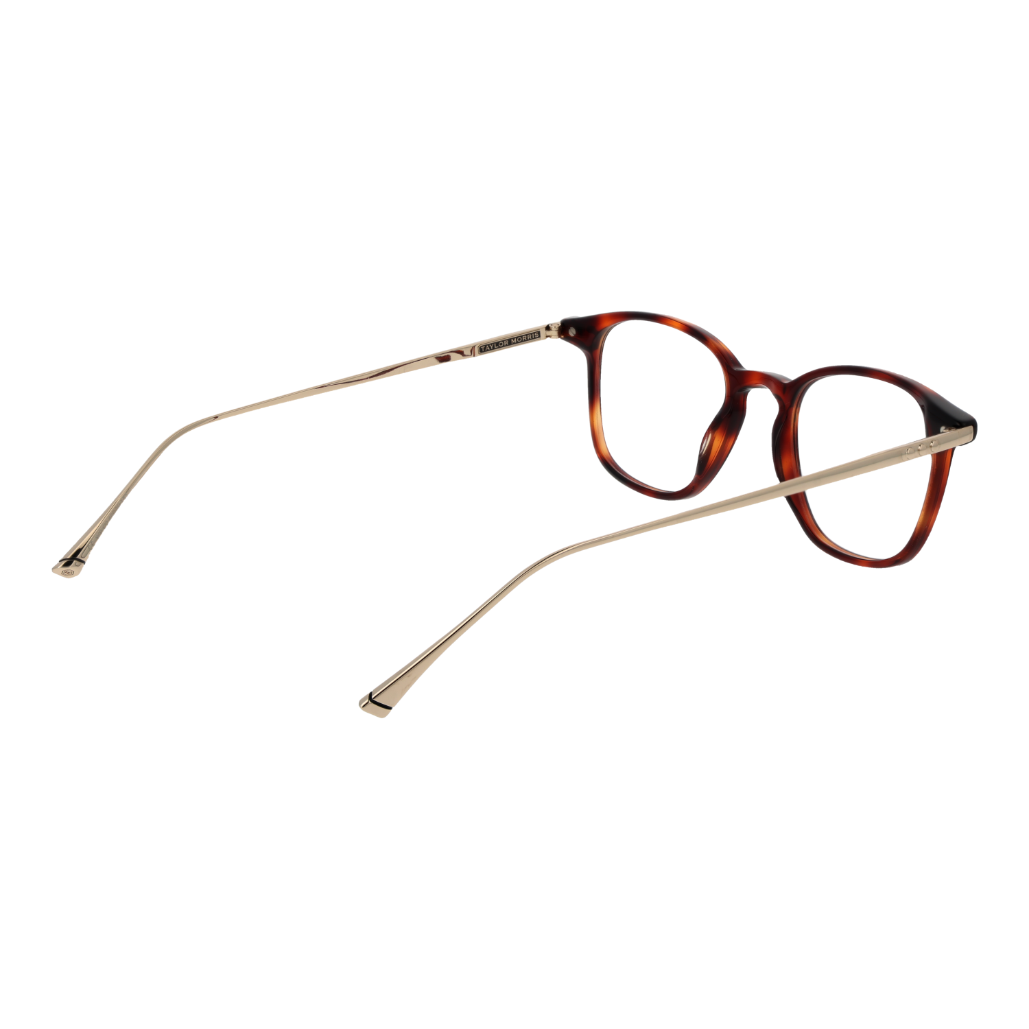 TAYLOR MORRIS EYEWEAR W9 48C2 Sonnenbrille ansicht-2
