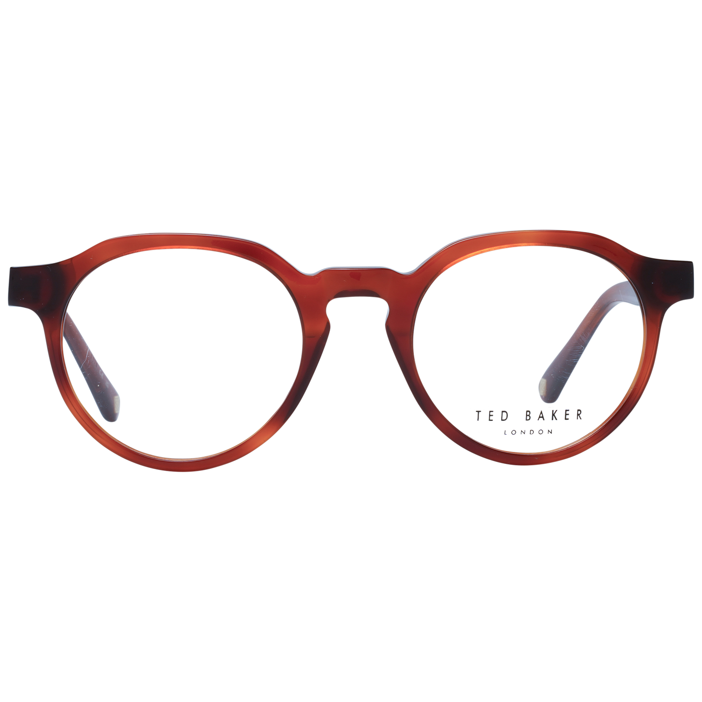 TED BAKER EYEWEAR TB8245 48107 Sonnenbrille