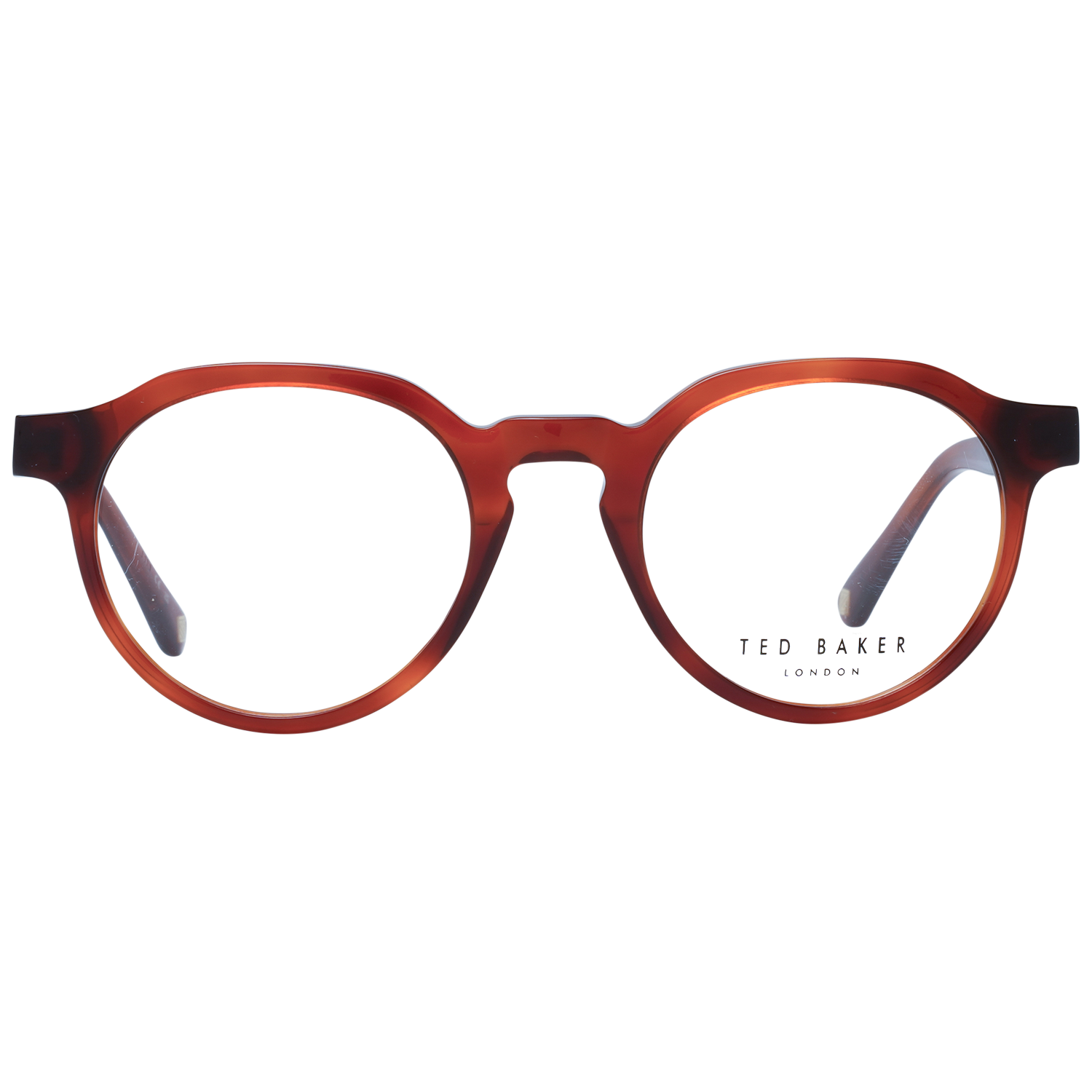 TED BAKER EYEWEAR TB8245 48107 Sonnenbrille