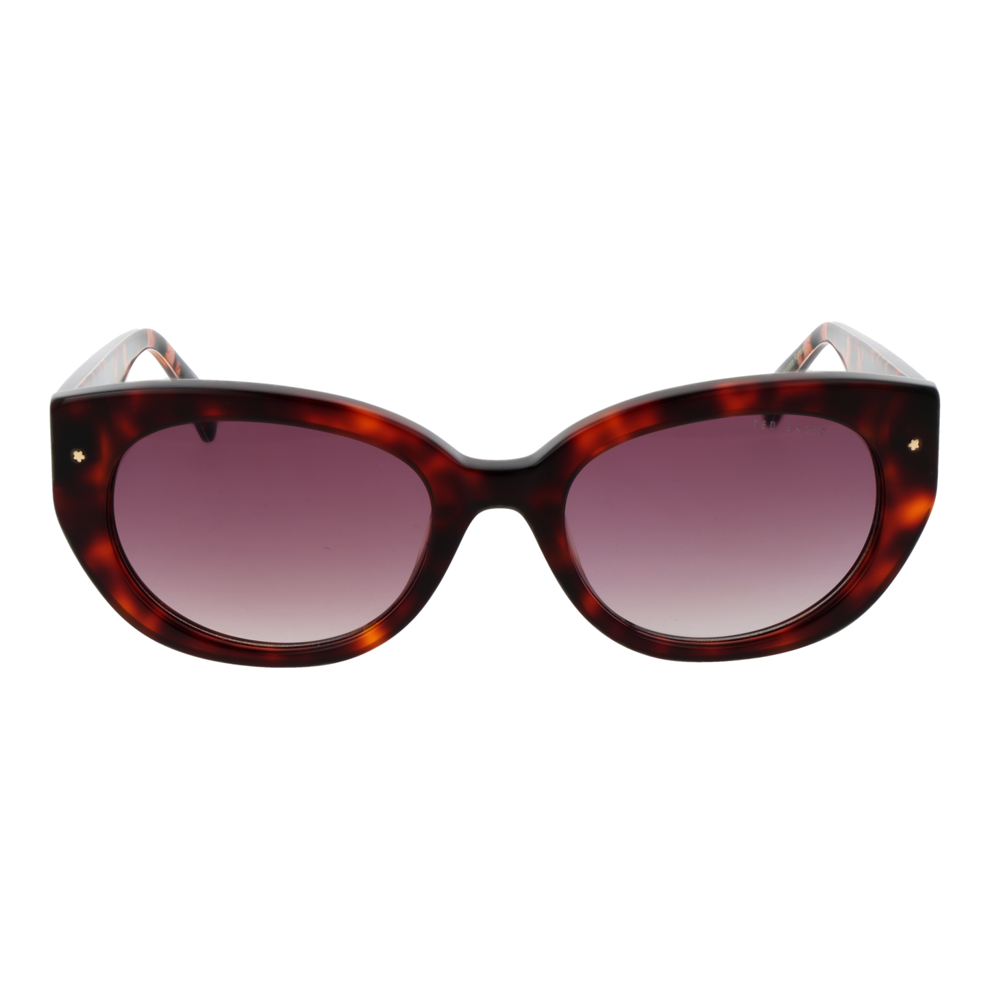 TED BAKER SUNGLASSES TB1737 53100 Sonnenbrille