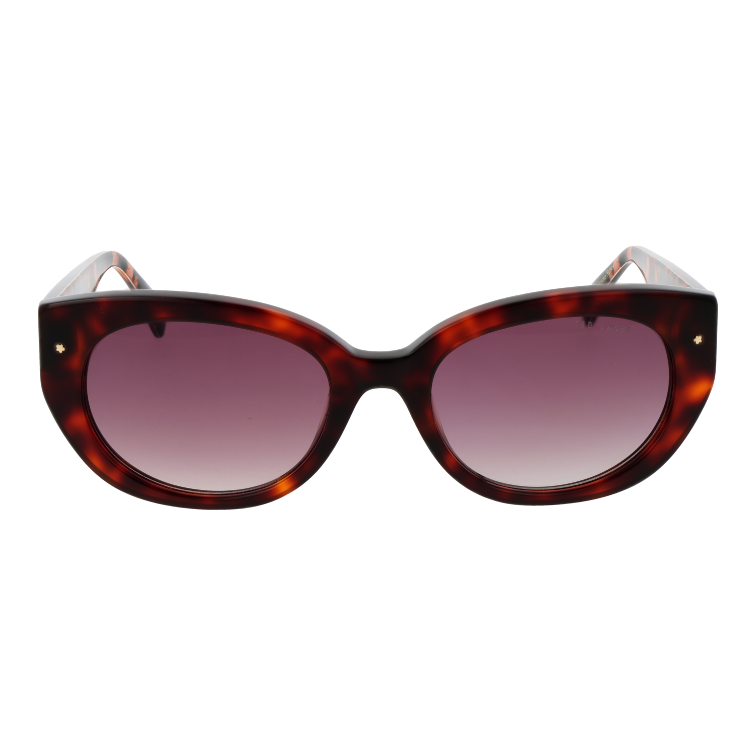 TED BAKER SUNGLASSES TB1737 53100 Sonnenbrille