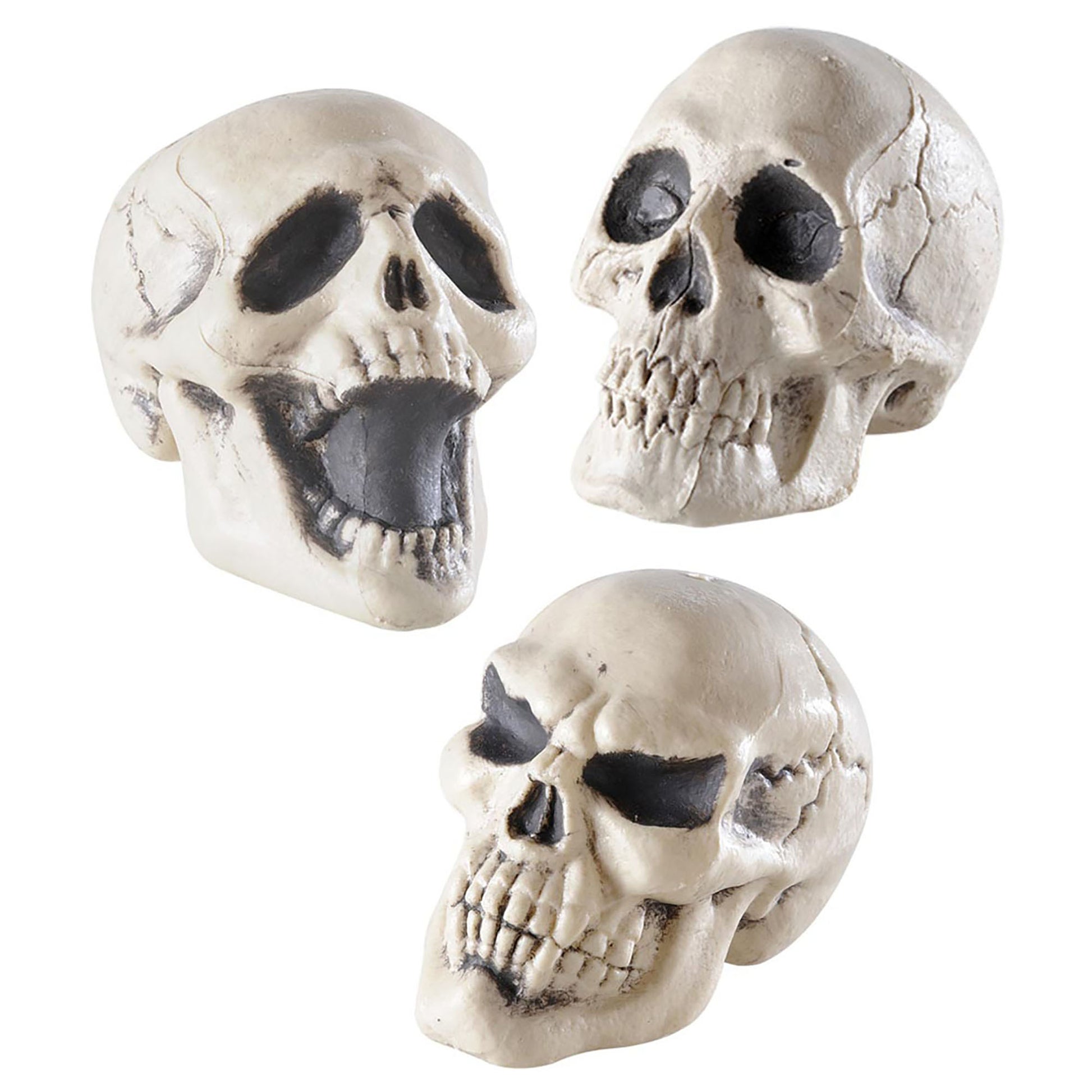 "TOTENKOPF" 12 Display Box - sort.in 3 Modellen - 12 cm – Vorderansicht