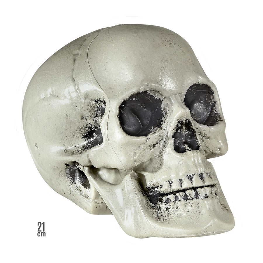 "TOTENKOPF AUS PLASTIK" 21 cm – Vorderansicht