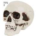 "TOTENKOPF MIT BEWEGLICHEM KIEFER" 12 cm – Vorderansicht