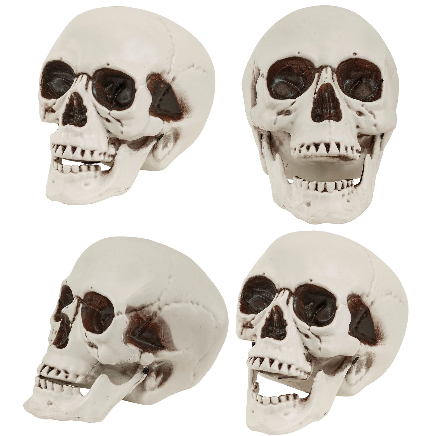 "TOTENKOPF MIT BEWEGLICHEM KIEFER" 12 cm – Detailansicht
