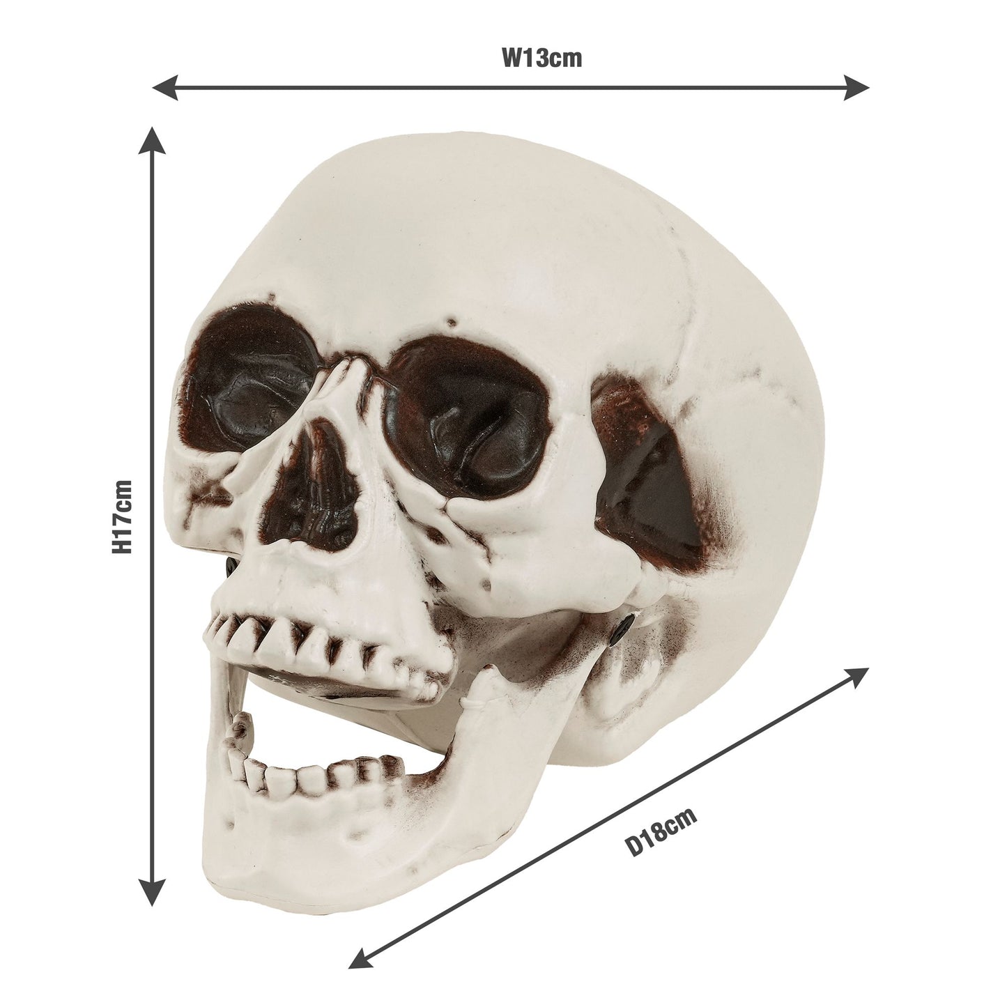 "TOTENKOPF MIT BEWEGLICHEM KIEFER" 18 cm – Ansicht 3