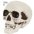 "TOTENKOPF MIT BEWEGLICHEM KIEFER" 28 cm – Vorderansicht