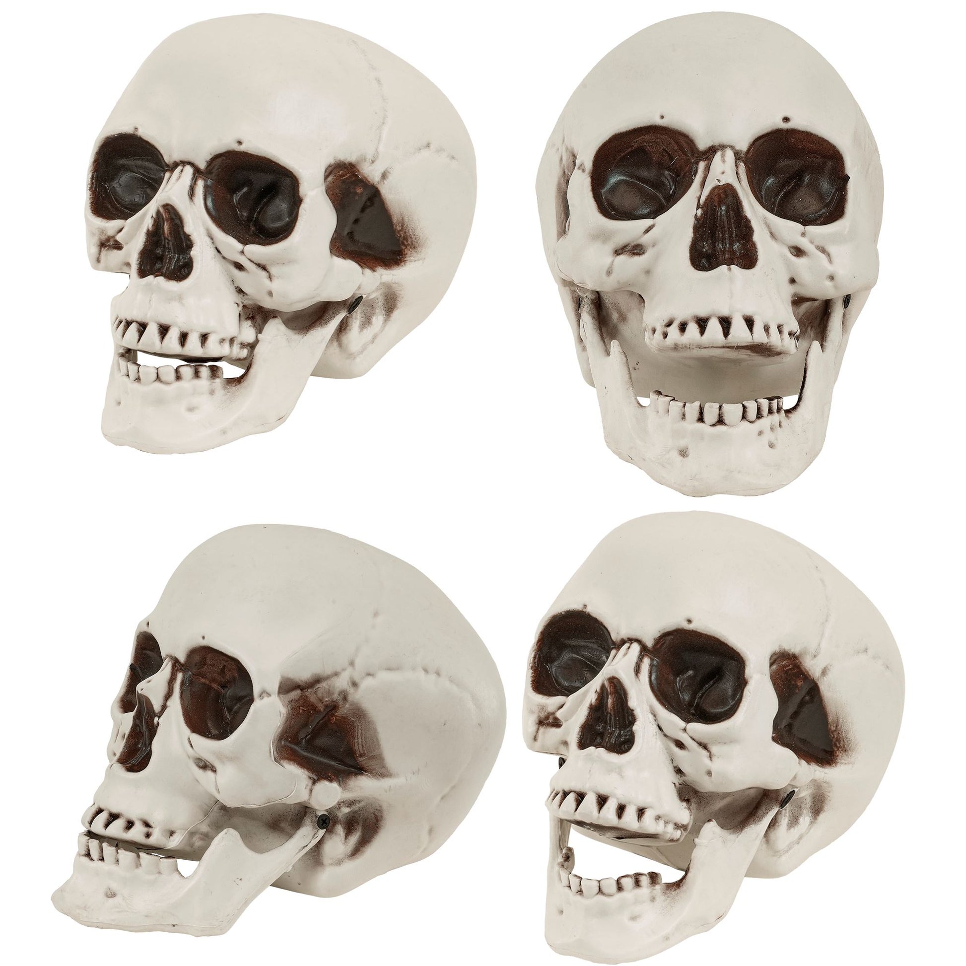 "TOTENKOPF MIT BEWEGLICHEM KIEFER" 28 cm – Detailansicht