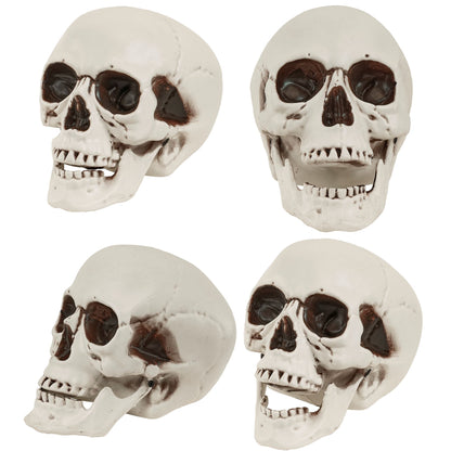 "TOTENKOPF MIT BEWEGLICHEM KIEFER" 28 cm – Detailansicht
