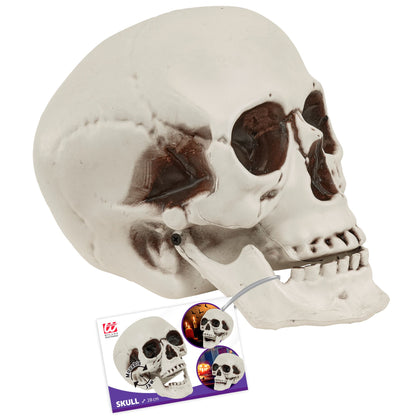 "TOTENKOPF MIT BEWEGLICHEM KIEFER" 28 cm – Ansicht 3