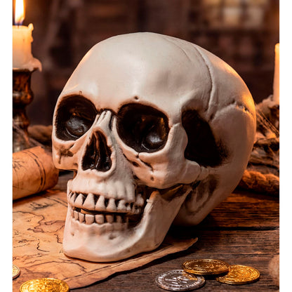 "TOTENKOPF MIT BEWEGLICHEM KIEFER" 28 cm – Ansicht 4