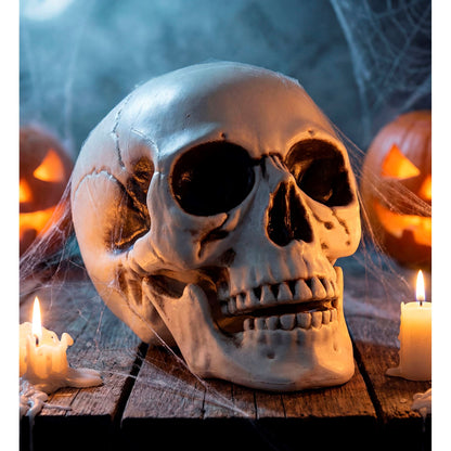 "TOTENKOPF MIT BEWEGLICHEM KIEFER" 28 cm – Ansicht 5