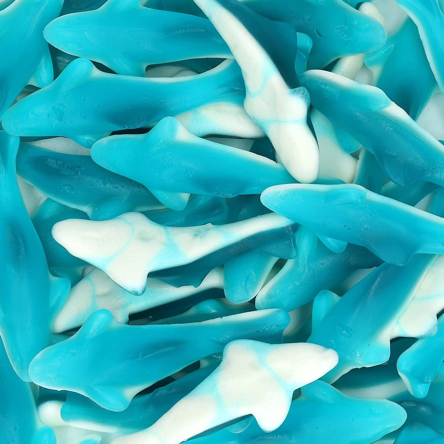 Trolli Haifische 150er Fruchtgummi blau mit Schaumzucker Bauch – Detailansicht