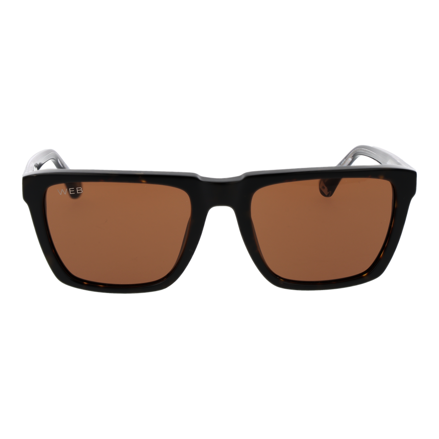 WEB EYEWEAR WE0379 5556E Sonnenbrille