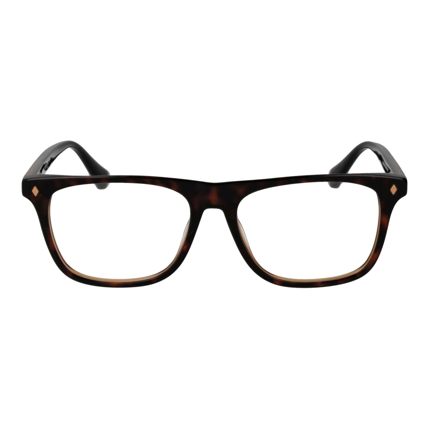 WEB EYEWEAR WE5399 54056 Sonnenbrille