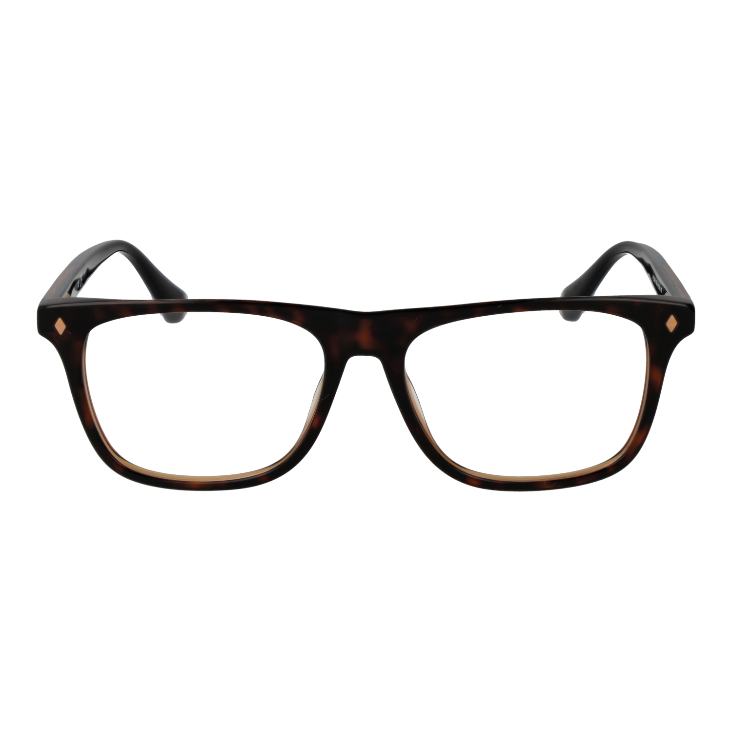 WEB EYEWEAR WE5399 54056 Sonnenbrille