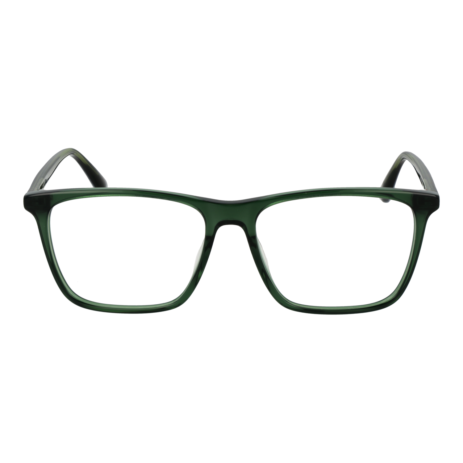 WEB EYEWEAR WE5418 56098 Sonnenbrille