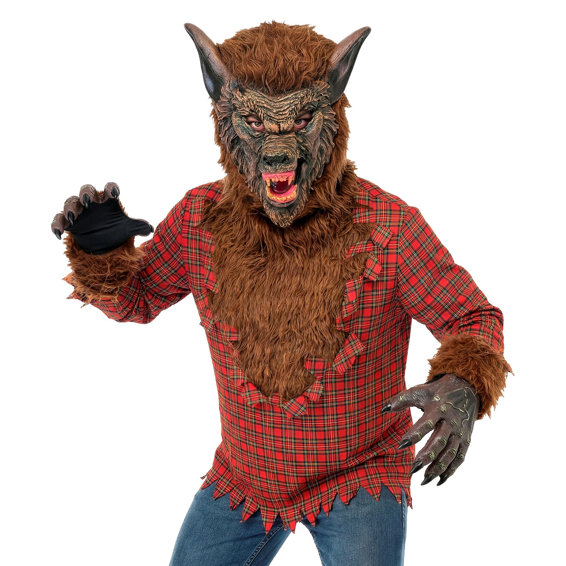 "WERWOLF" (Oberteil, Kapuze, Handschuhe) – Vorderansicht