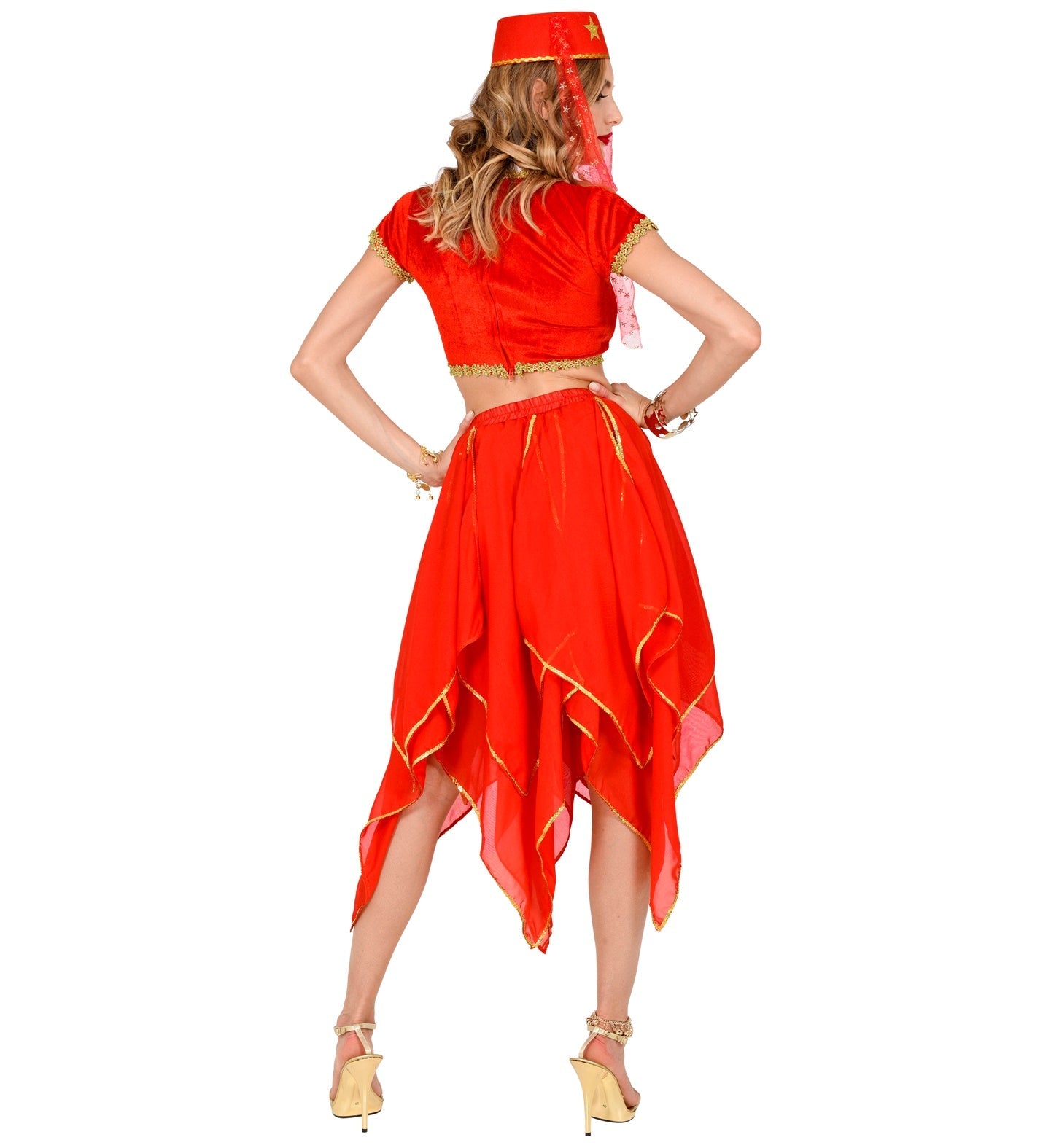 Roter Chiffon-Tutu-Rock mit goldenen Fäden für Katzen und kleine Hunde