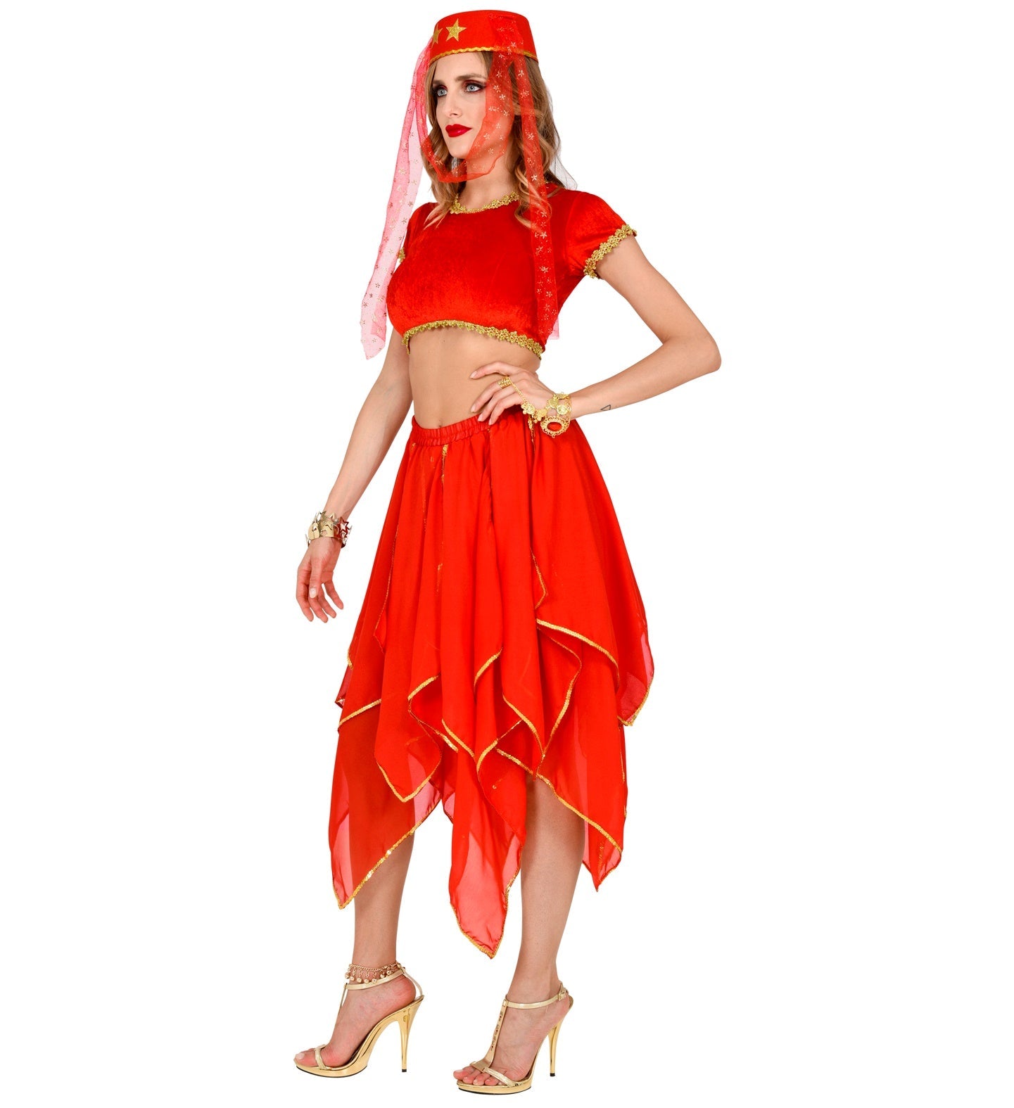 Roter Chiffon Tutu Rock mit goldenen Fäden für Katzen und kleine Hunde, leicht und schick.