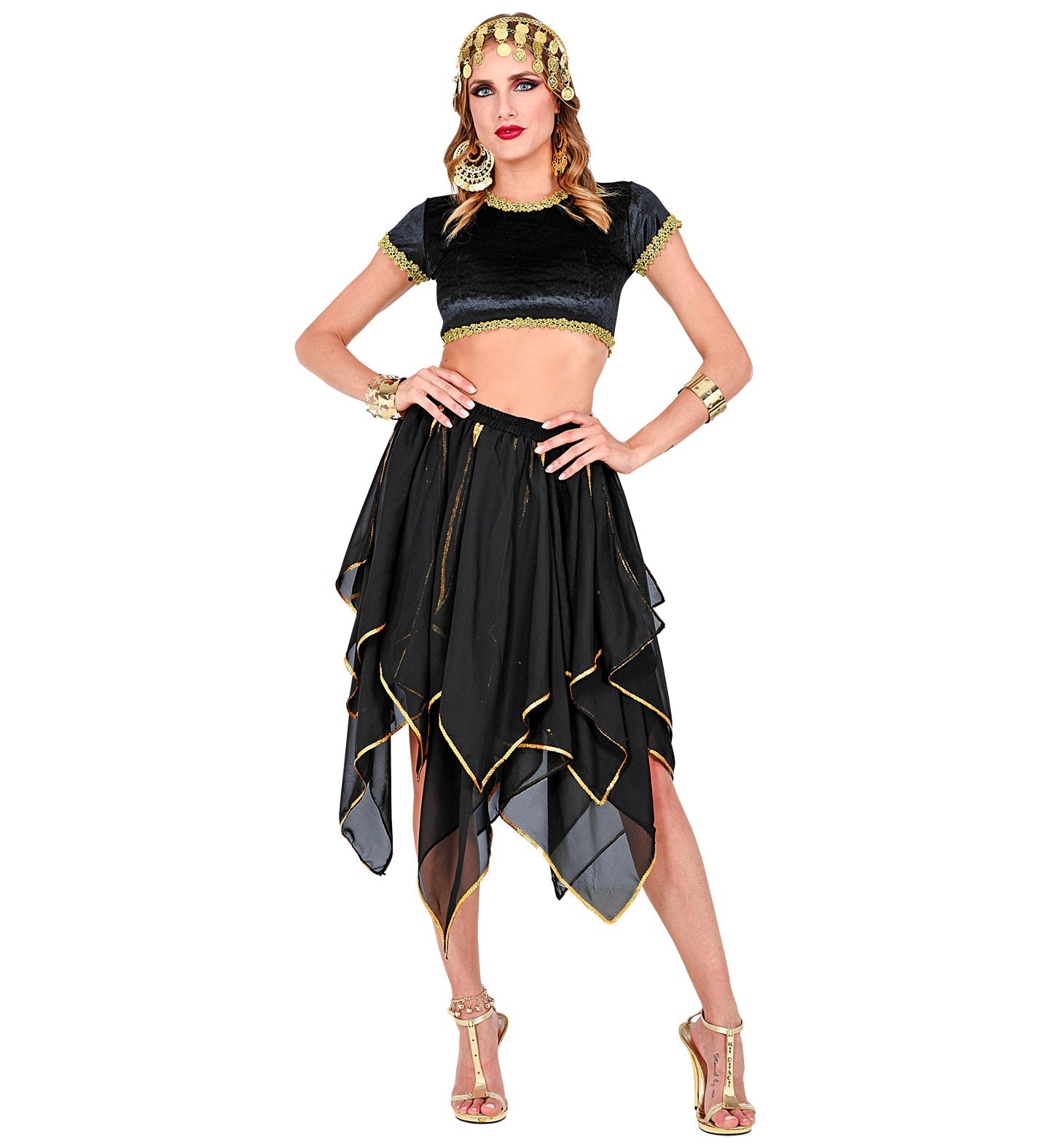 Schwarzer und goldener Chiffon-Rock für Hunde mit elastischem Bund und elegantem Design.