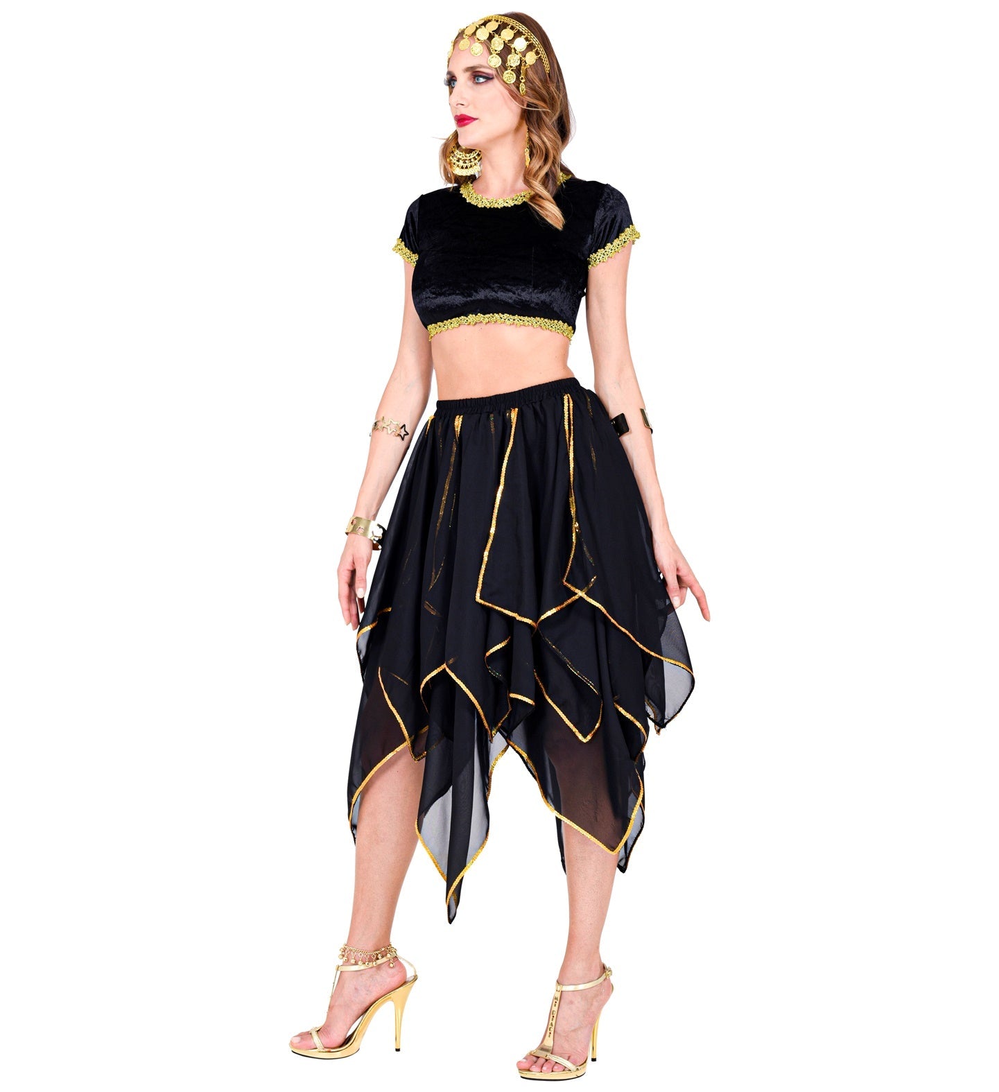 Schwarzer und goldener Chiffon-Rock für Hunde mit elastischem Bund und eleganter Silhouette.