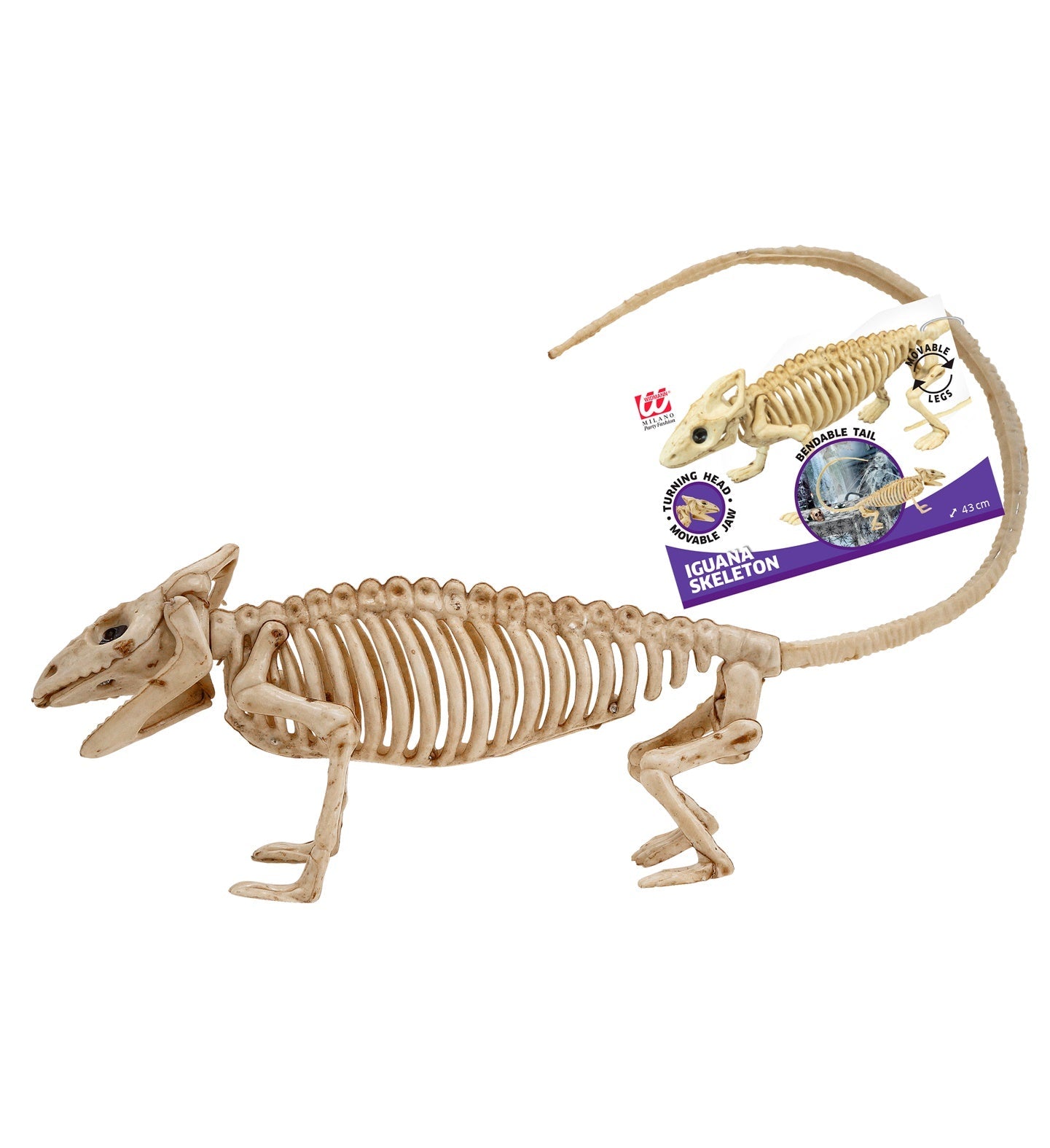 43 cm großes Leguan-Skelett aus handbemaltem Harz auf stabilem Untergrund.