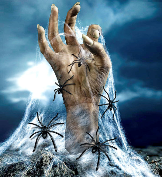 Widmann Weißes Spinnennetz 500g Mit 20 Schwarzen Spinnen – Halloween Dekoration - Fasnacht24.ch