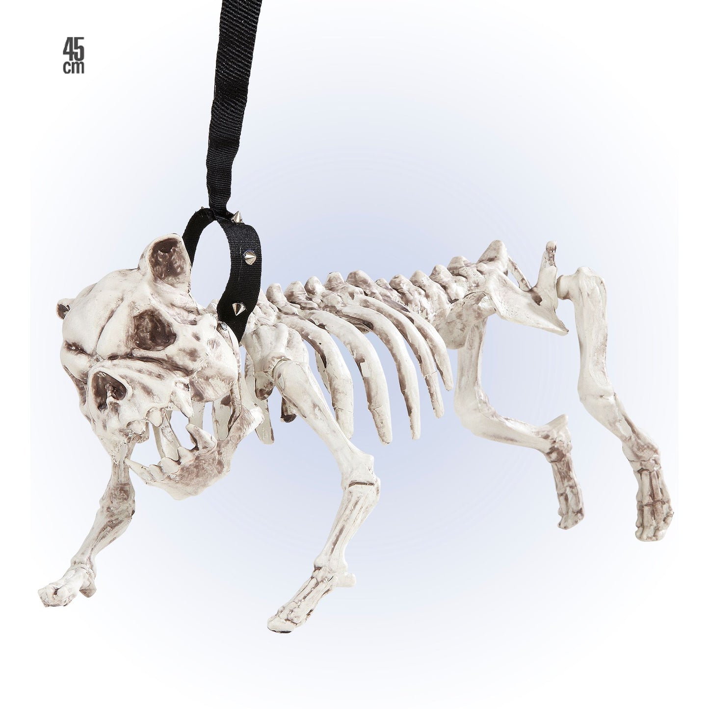 Realistisches Hundeskelett mit Leine 45 cm – Deko für Halloween & Fasnacht