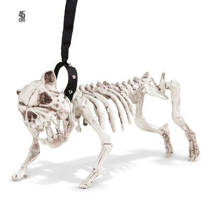 Widmann Dekoration Realistisches Hundeskelett mit Leine 45 cm – Halloween- und Fasnachtsdeko