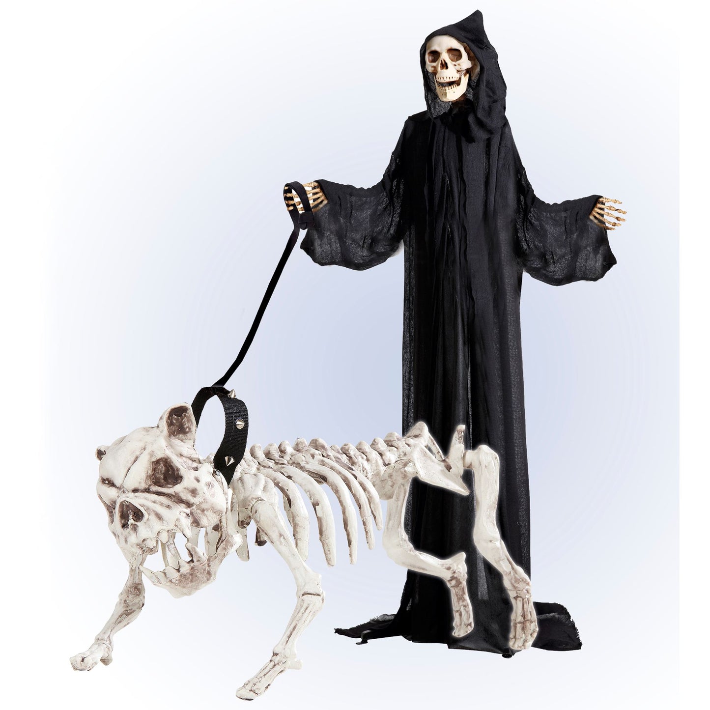Realistisches Hundeskelett mit Leine 45 cm – Deko für Halloween & Fasnacht