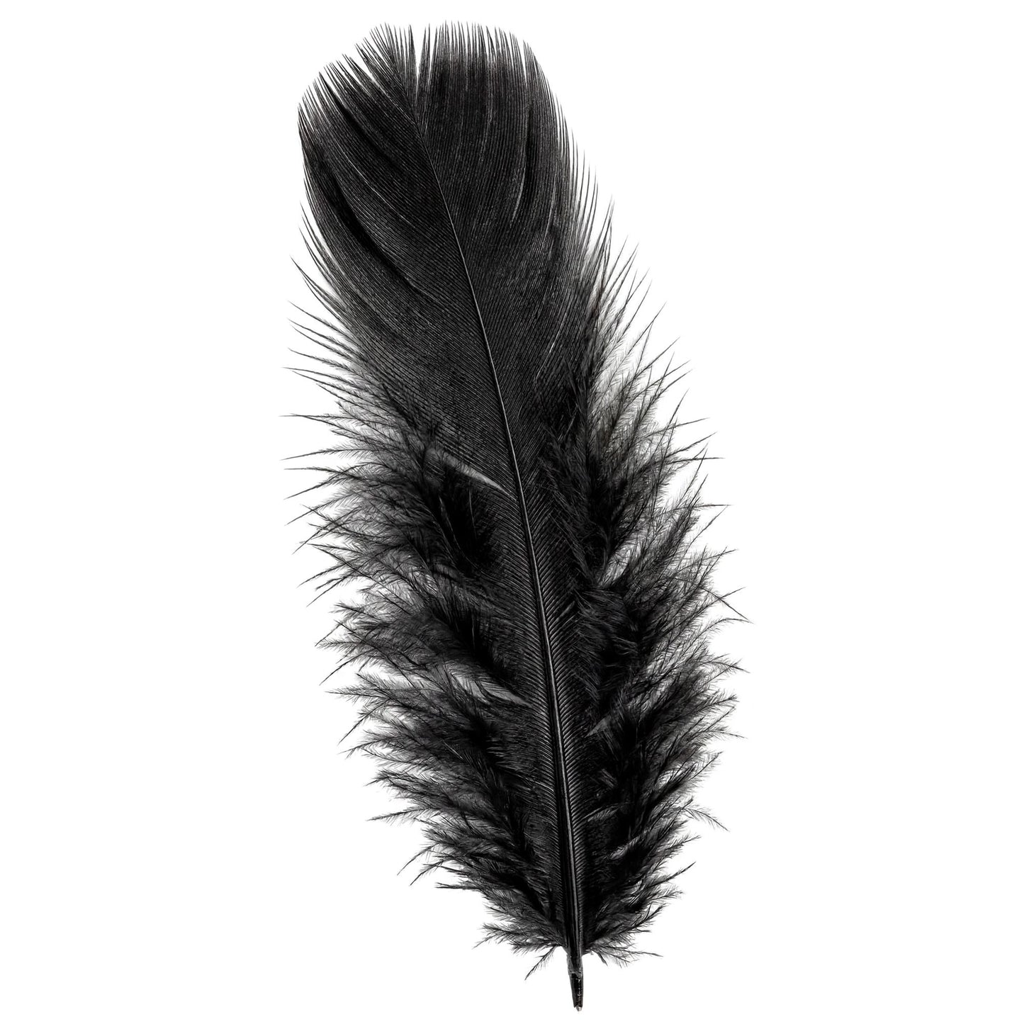 50 schwarze Federn ca. 10 cm – edles Accessoire für Fasnacht & Mottoparty