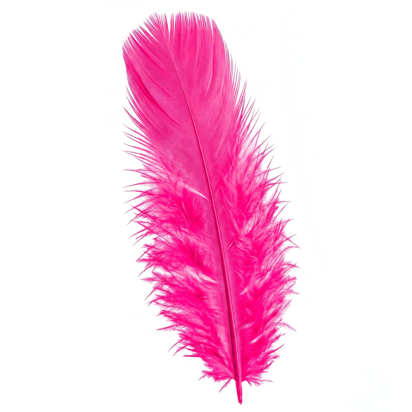 50 pinke Federn ca. 10 cm – ideales Zubehör für Fasnacht & Mottopartys