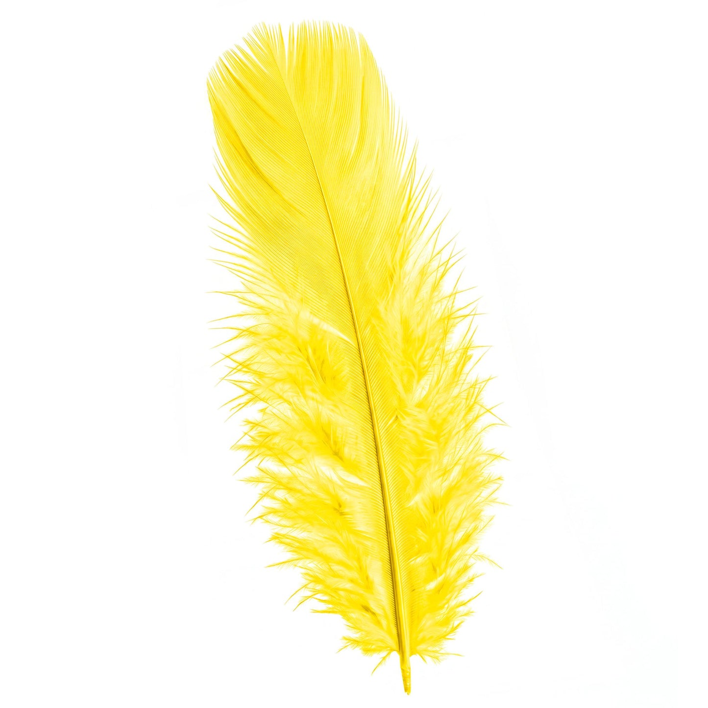 50 gelbe Federn ca. 10 cm – ideales Accessoire für Fasnacht & Kostüme