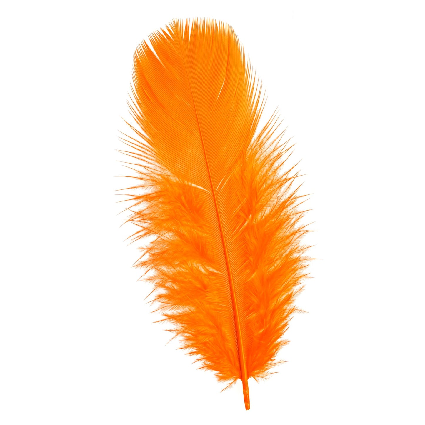 50 orange Federn ca. 10 cm – Perfektes Zubehör für Fasnacht & kreative Dekoration